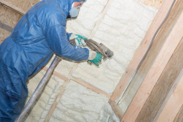 Best Insulation Air Sealing  in Rosemont, IL